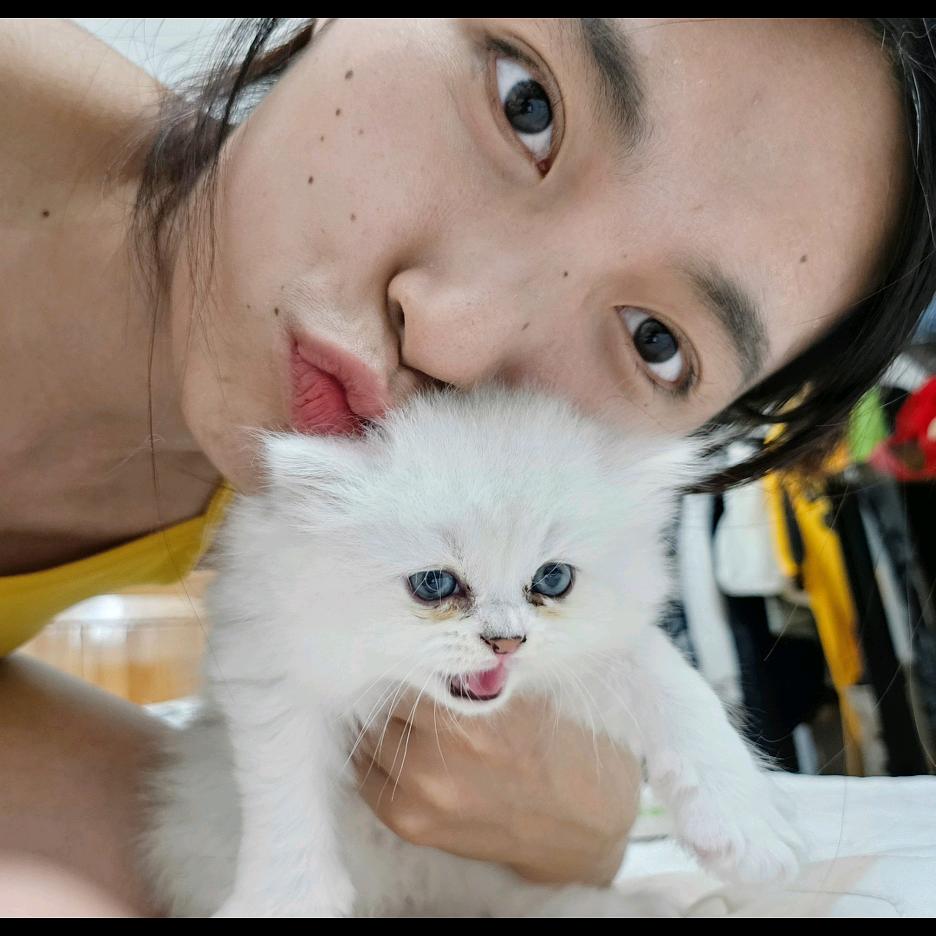 小雨淅淅