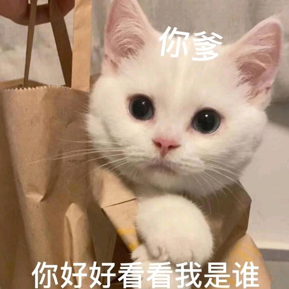 人