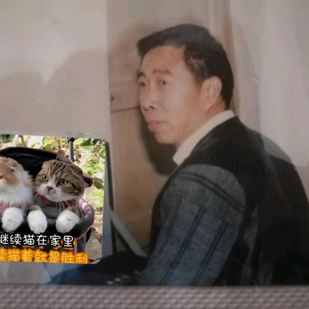 晚成2198287087
