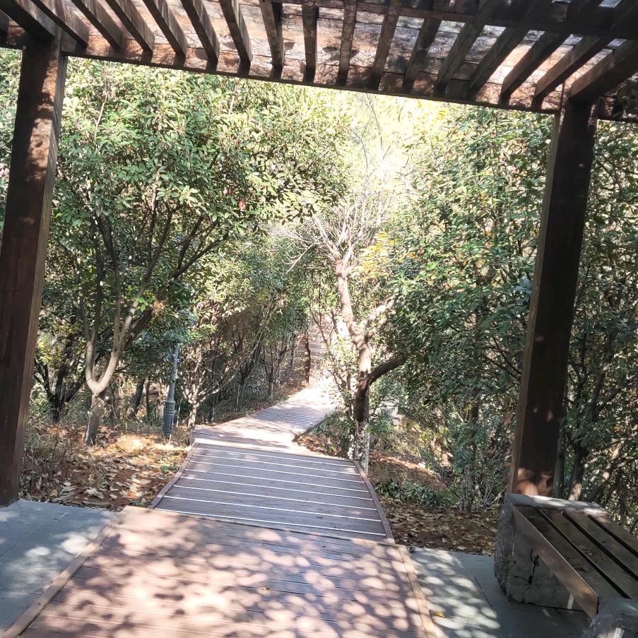 👉关＋团，进主播主页，公开群下游戏✔