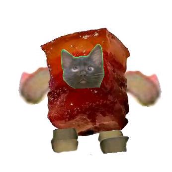 cloud.红烧肉猫～