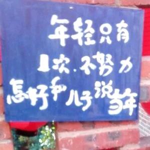 👆青春向上👆