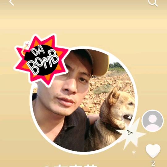 广西田园犬土猎广西灵山