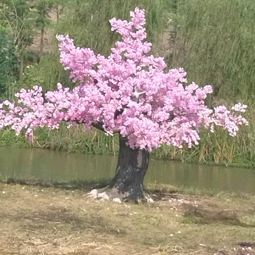 浪漫一生