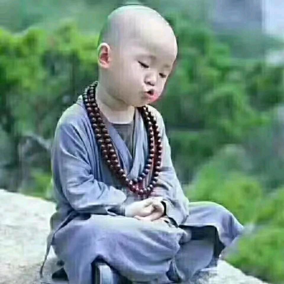 🙏离骚🙏