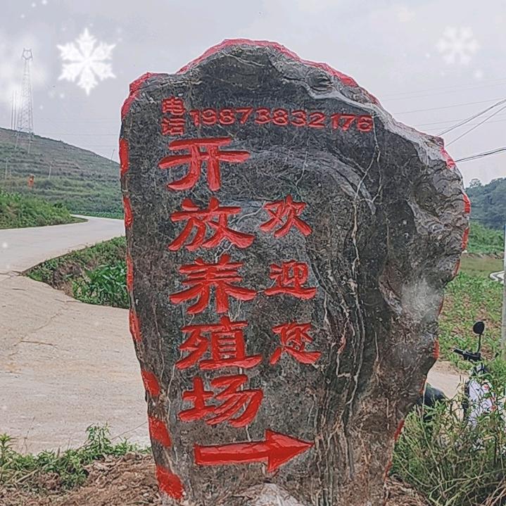 团哥哥开放养殖场