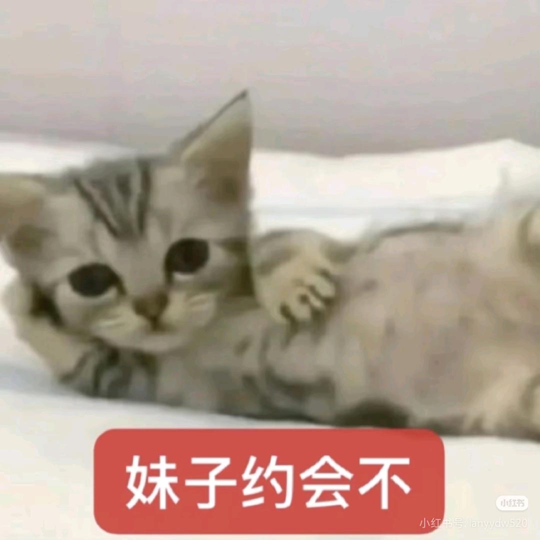 酷酷酷酷裤衩子