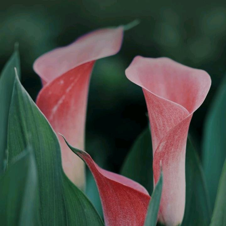 学会坚强过好自己