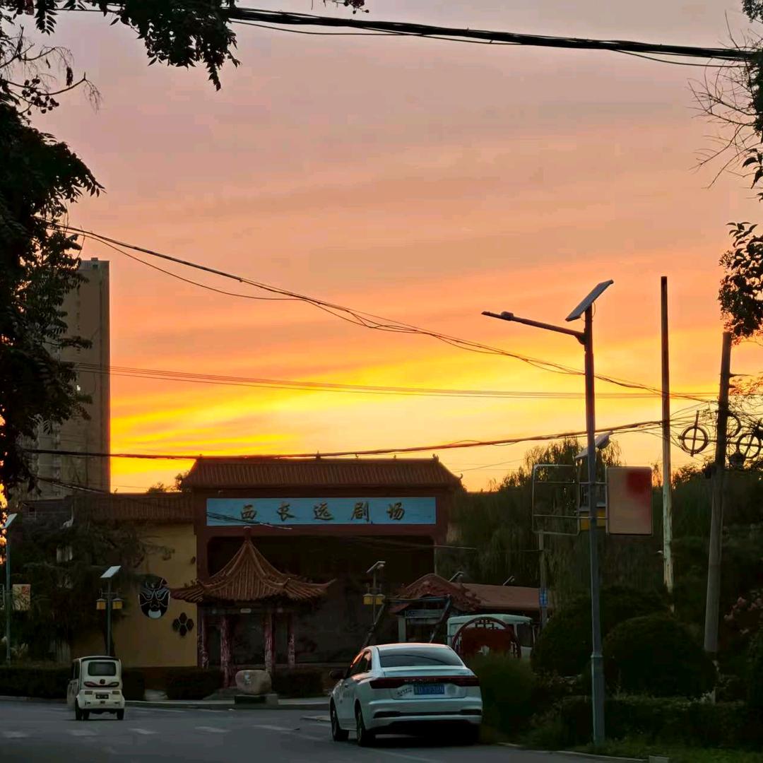 樸澤