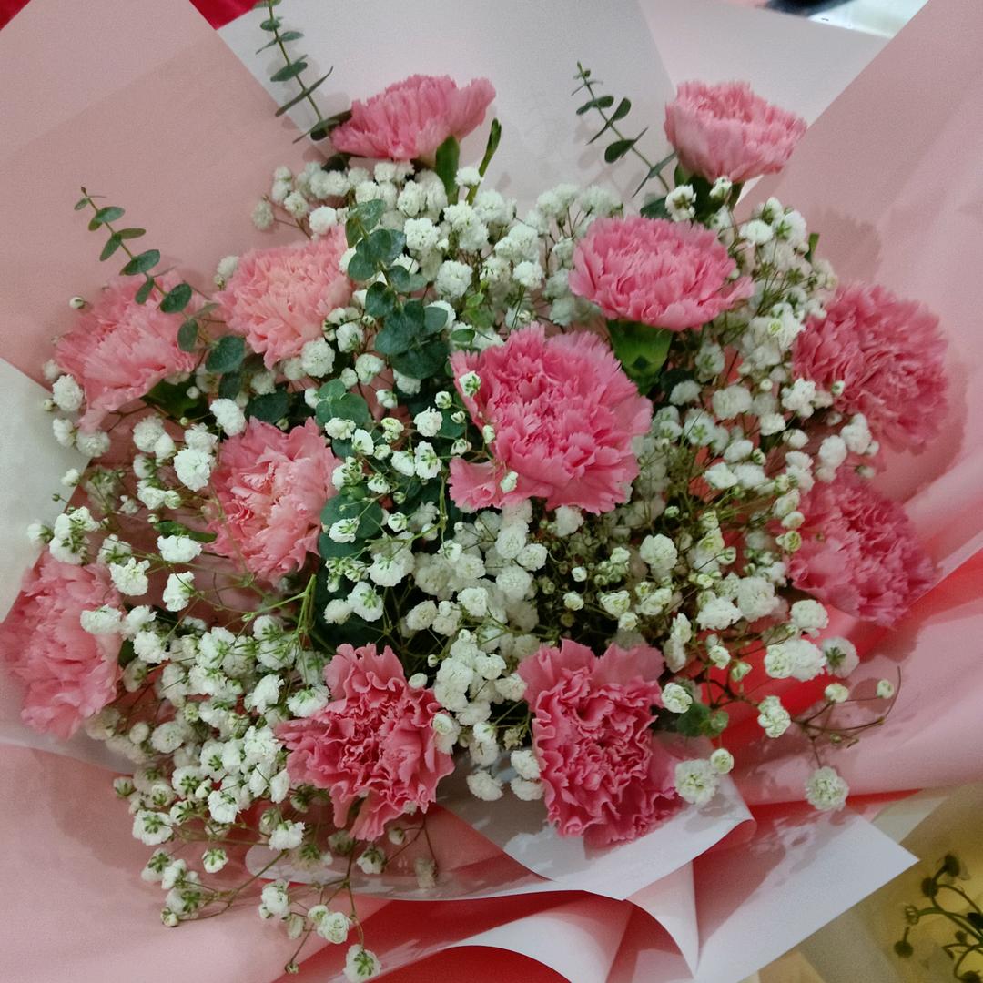 圆圆🦋…