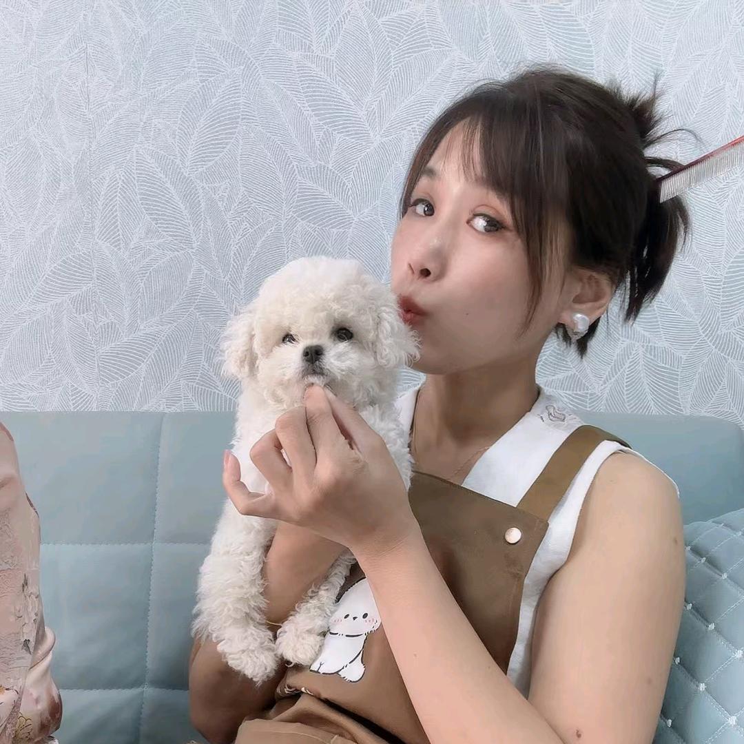 养狗狗的宏姐（比熊）