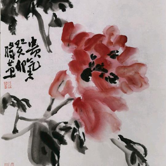 雪涛