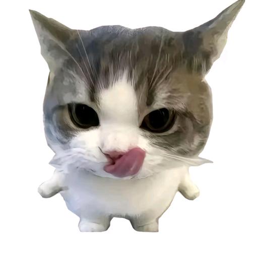 莫西莫西.