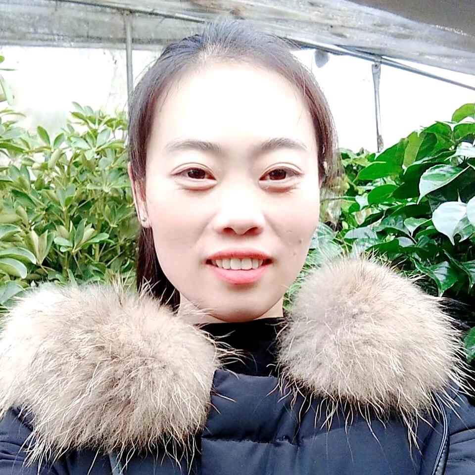 文子吖