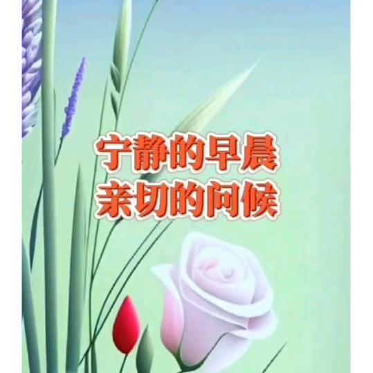 他写无痕