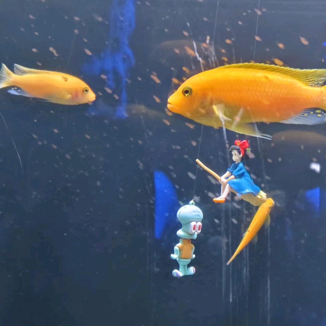 创造奇迹