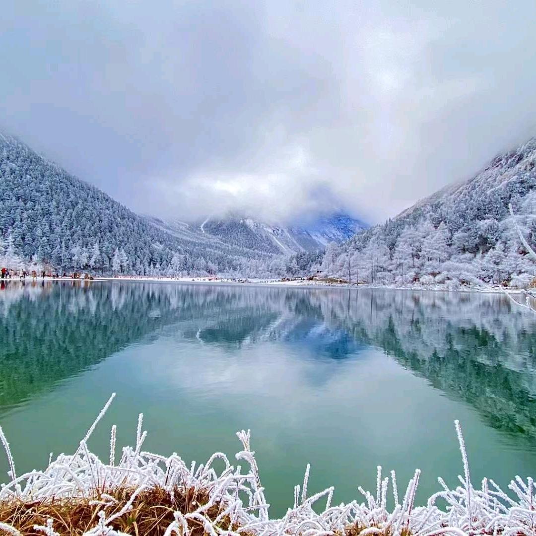 tangwenqiu