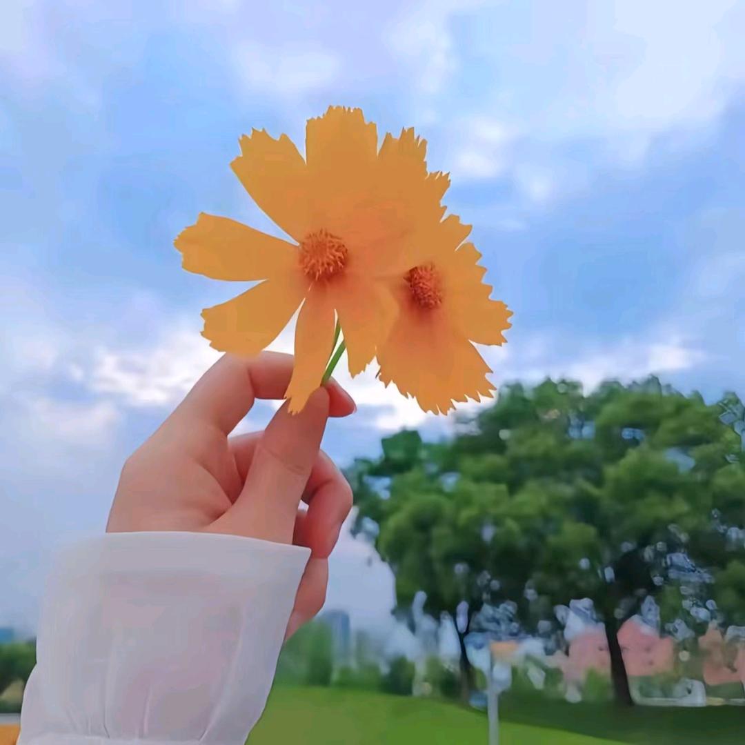 雨落