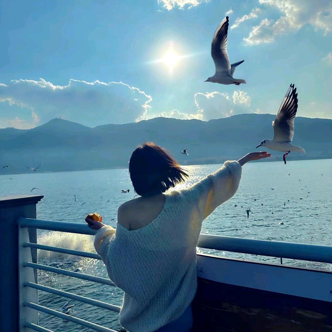 🌈🕊️浅汐🌸