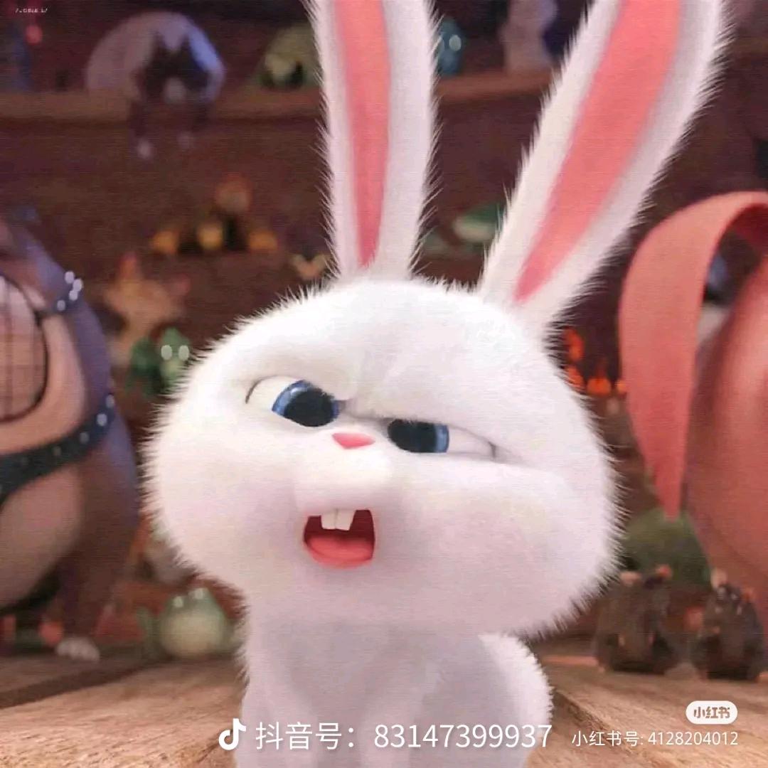 萌🐰儿
