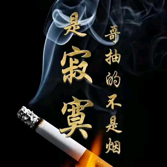 若是不在乎，岂能伤我分毫