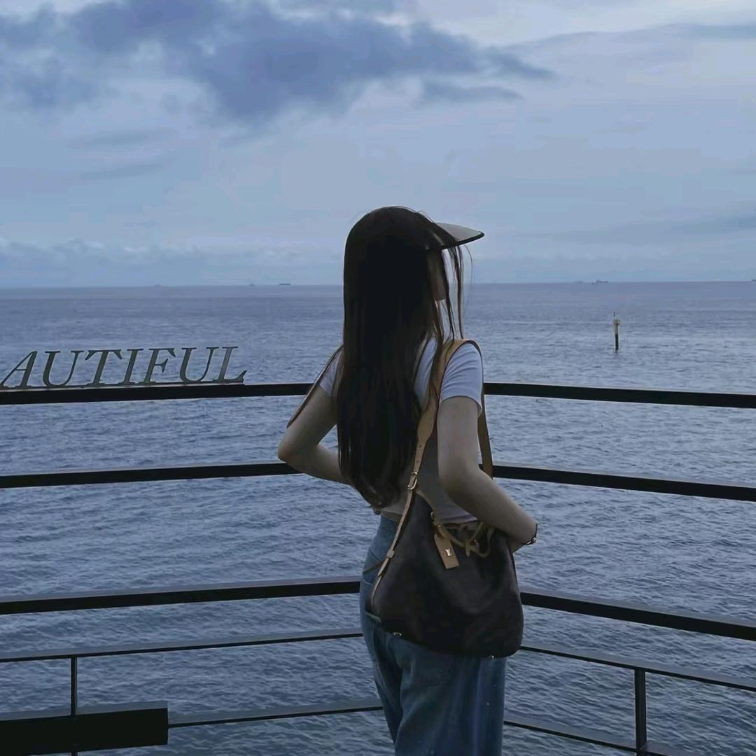 Mz四叶草轻奢女包