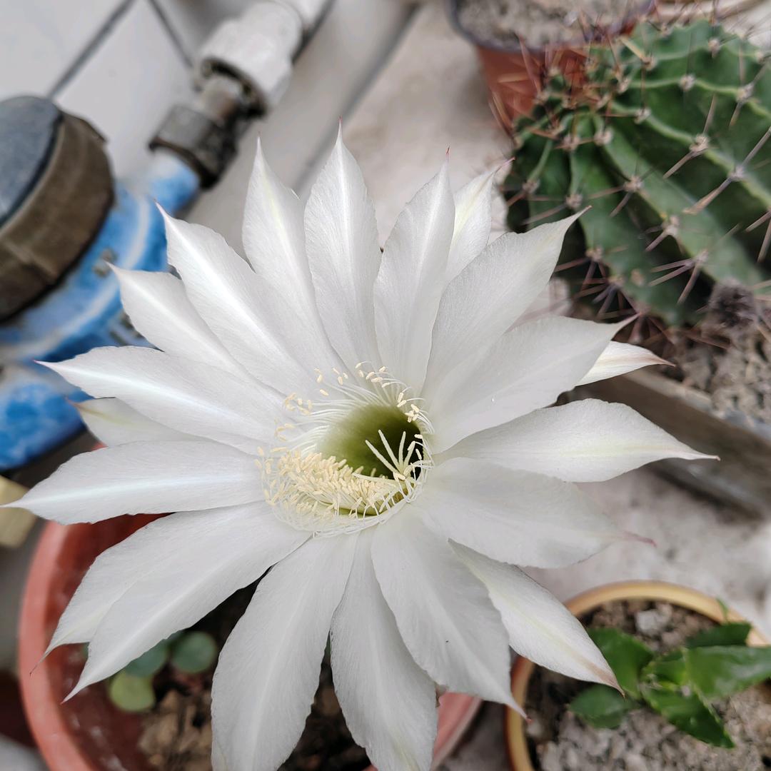 一起吹海风吗