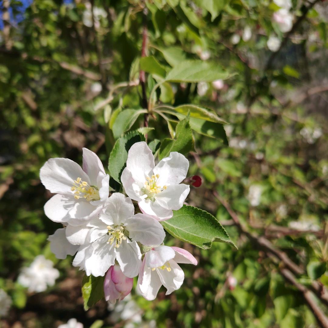 💞࿐浊酒敬余生᭄᭄💞࿐