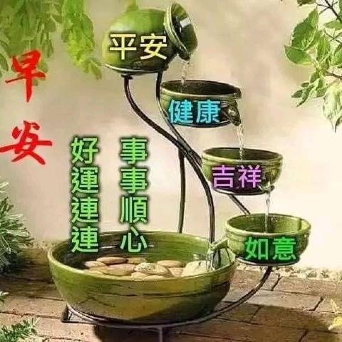 自乐心游