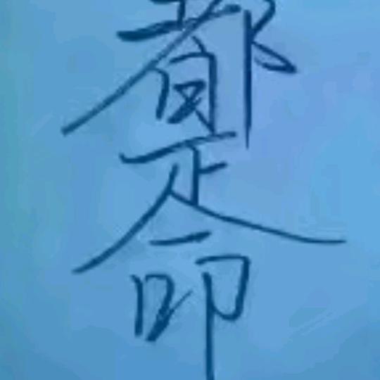 张晓栋