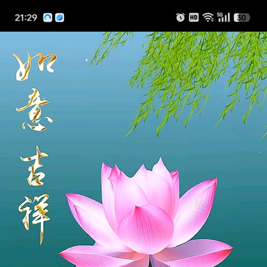 花🌸卉