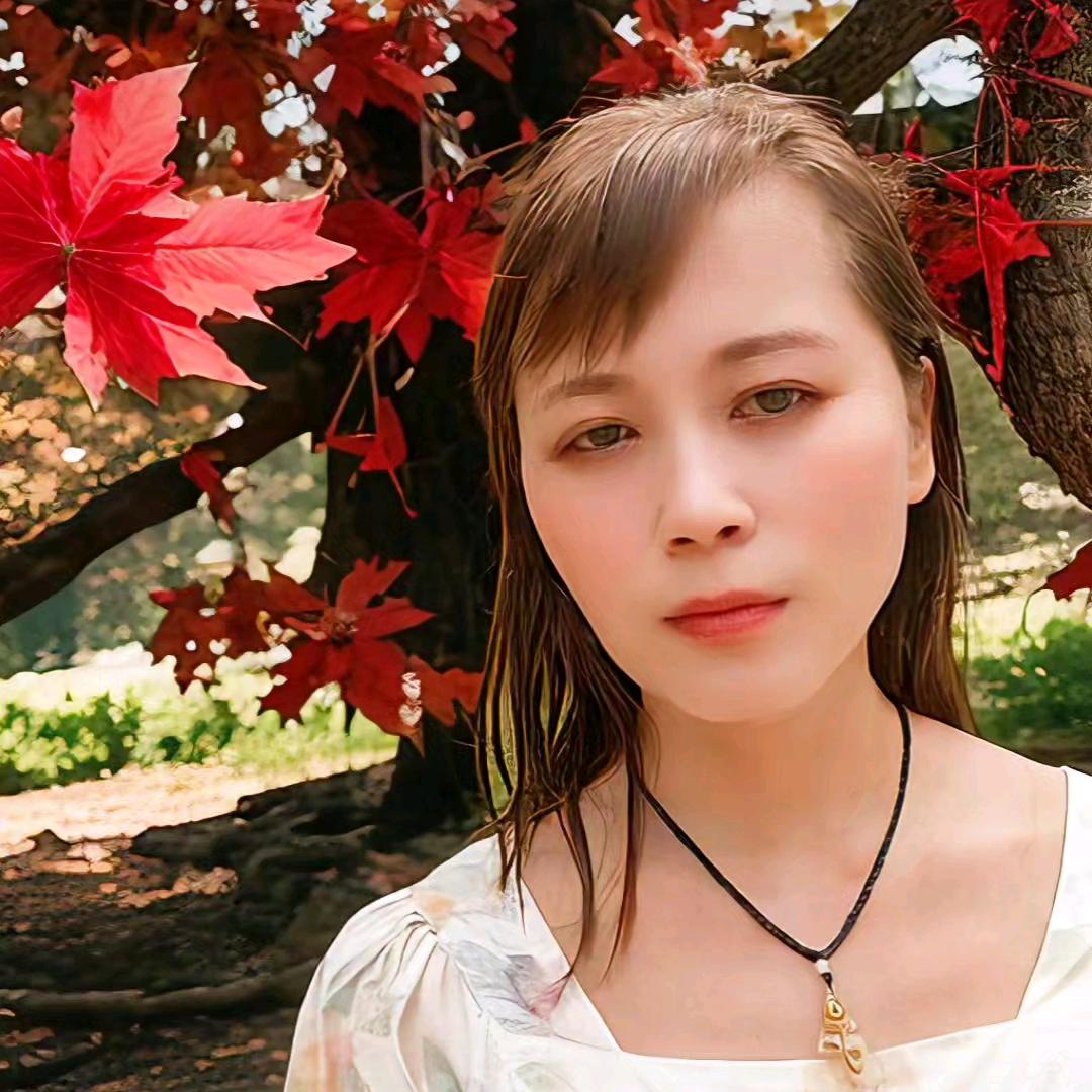 🌹杨🌹洋🌹