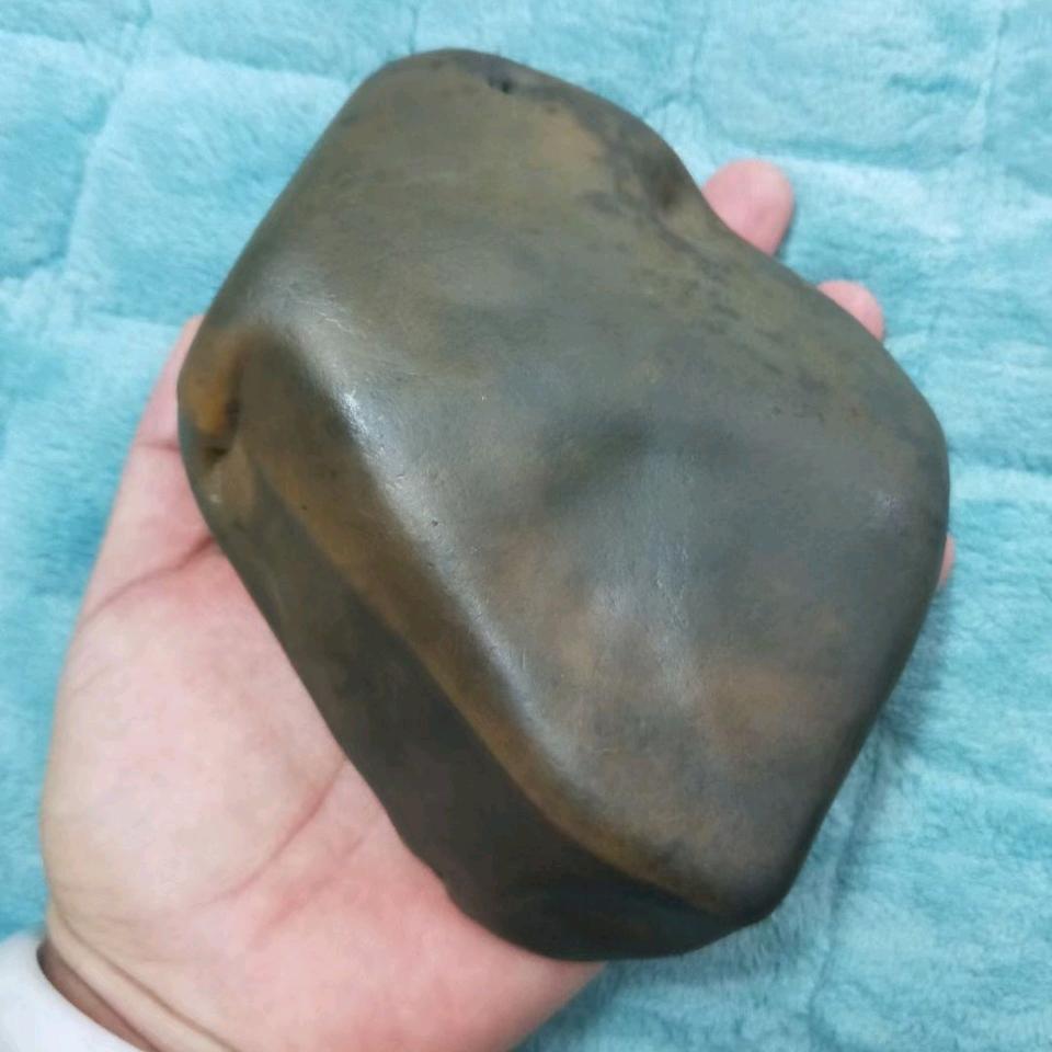 法大