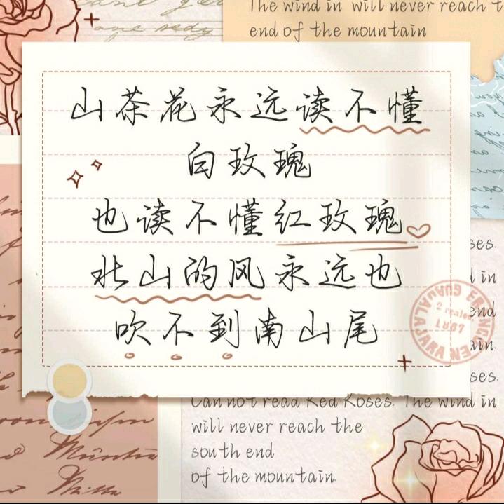 *T N T *（*诶逗*）
