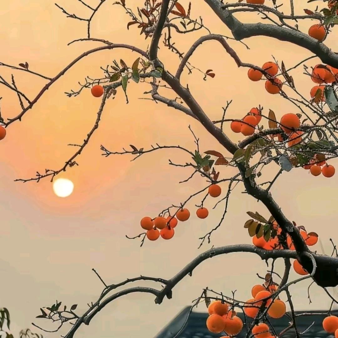 🌈超人丶不会飞🌈