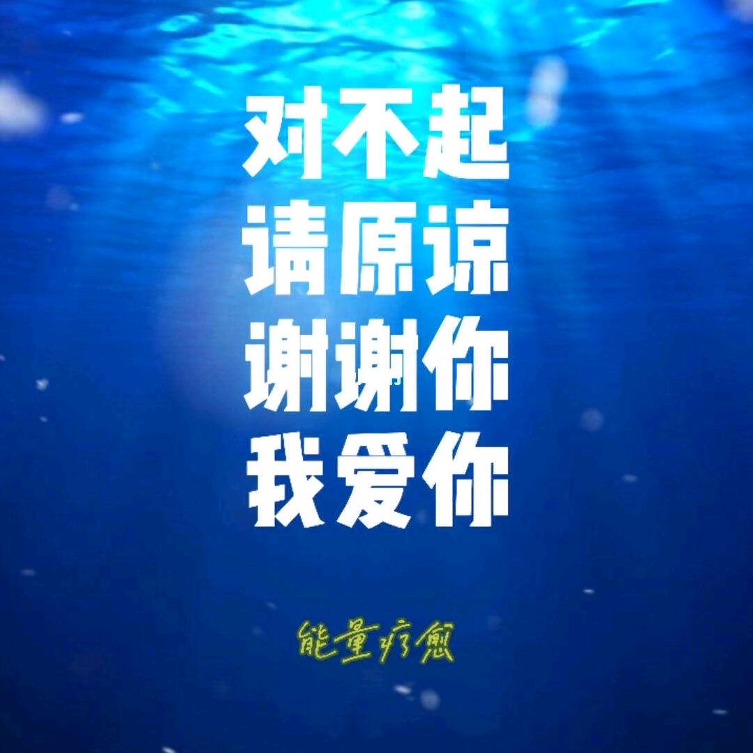 星阳说数字