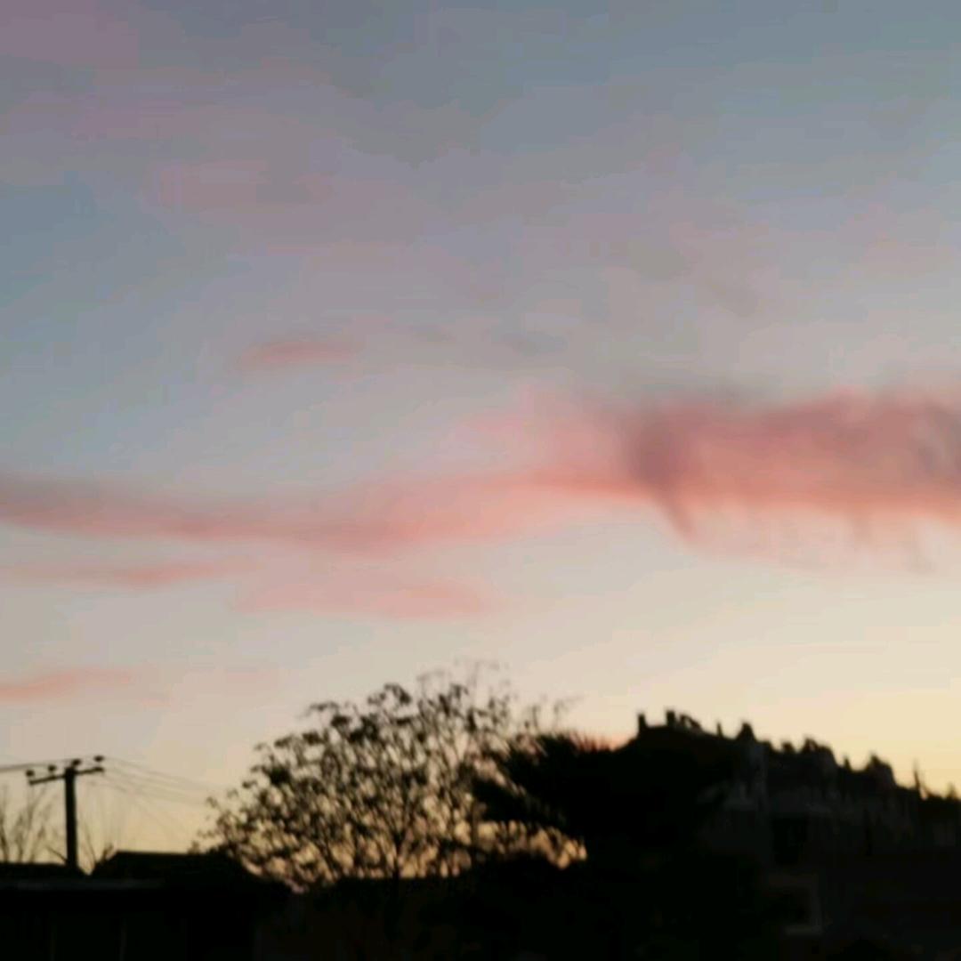 大河向东流