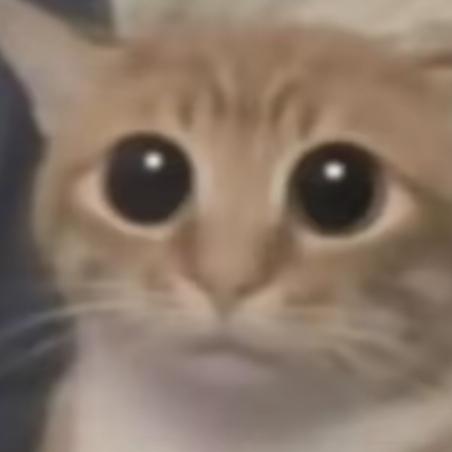 呼风唤雨吕女士