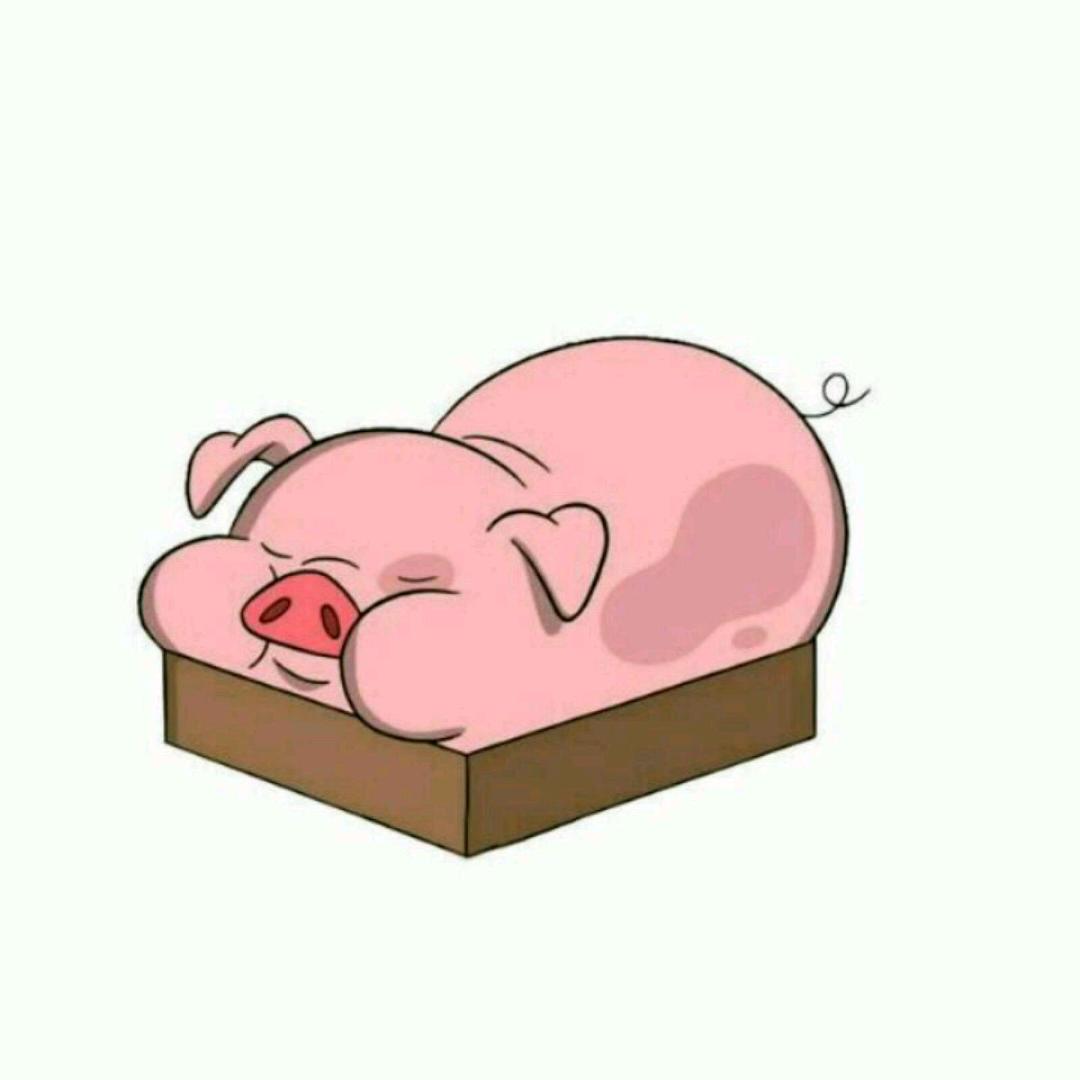 丁丁宝贝
