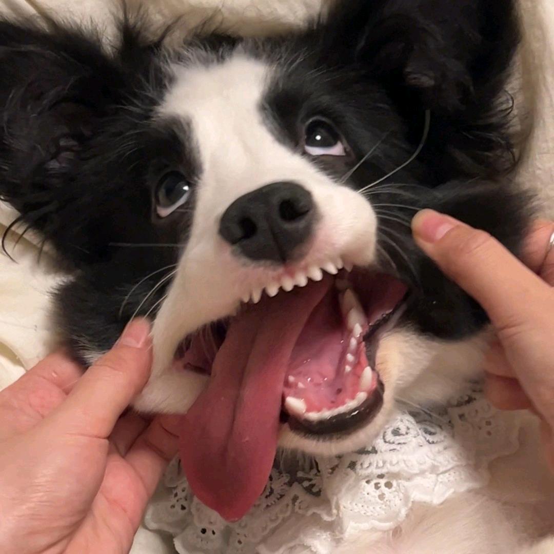 黄满