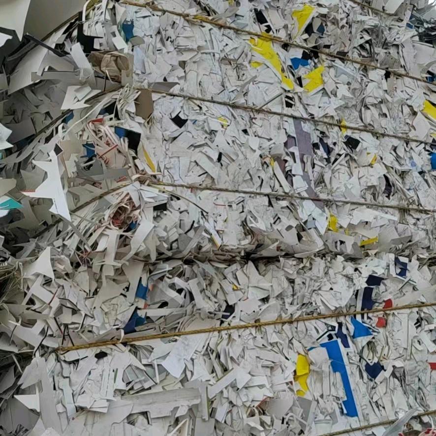 废纸购销 张云飞