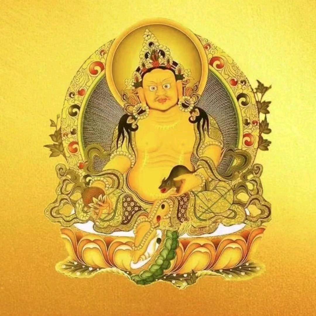 赵家老店大盘鸡