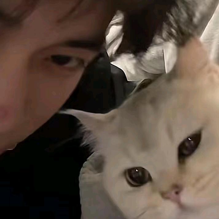 威威喂     ╲   　　　༽  ╭