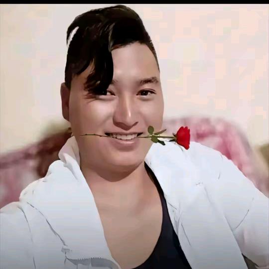 没有常青的树