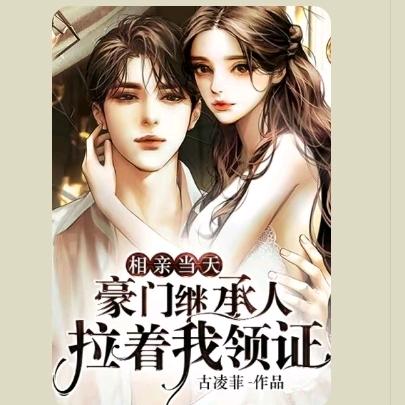 梵花--金典红歌100