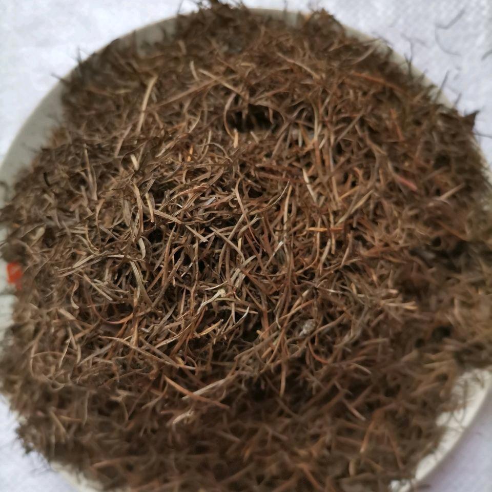 云南松针腐叶土直发