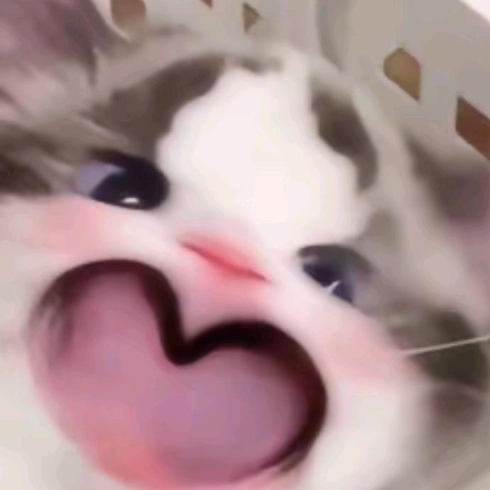 喜欢巧克力