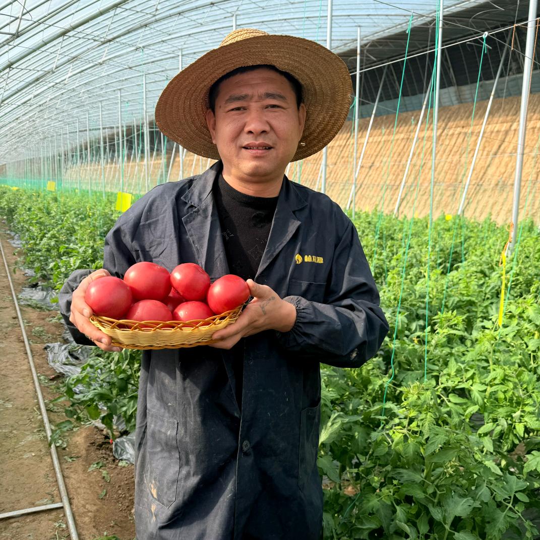 绿丰禾优品小铺