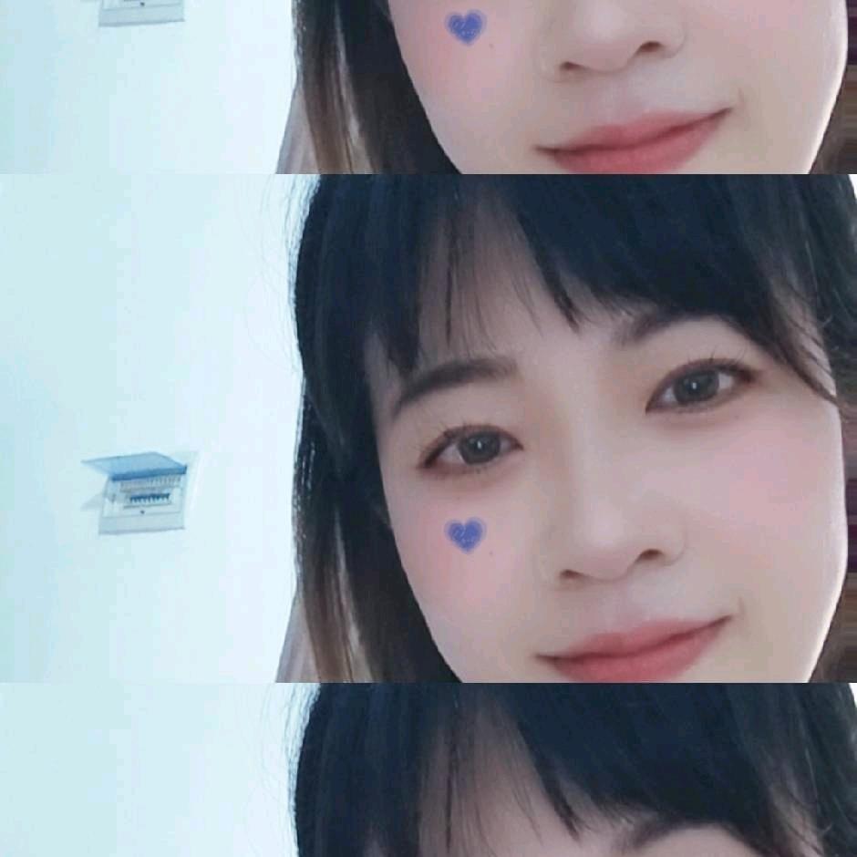 春天的燕子