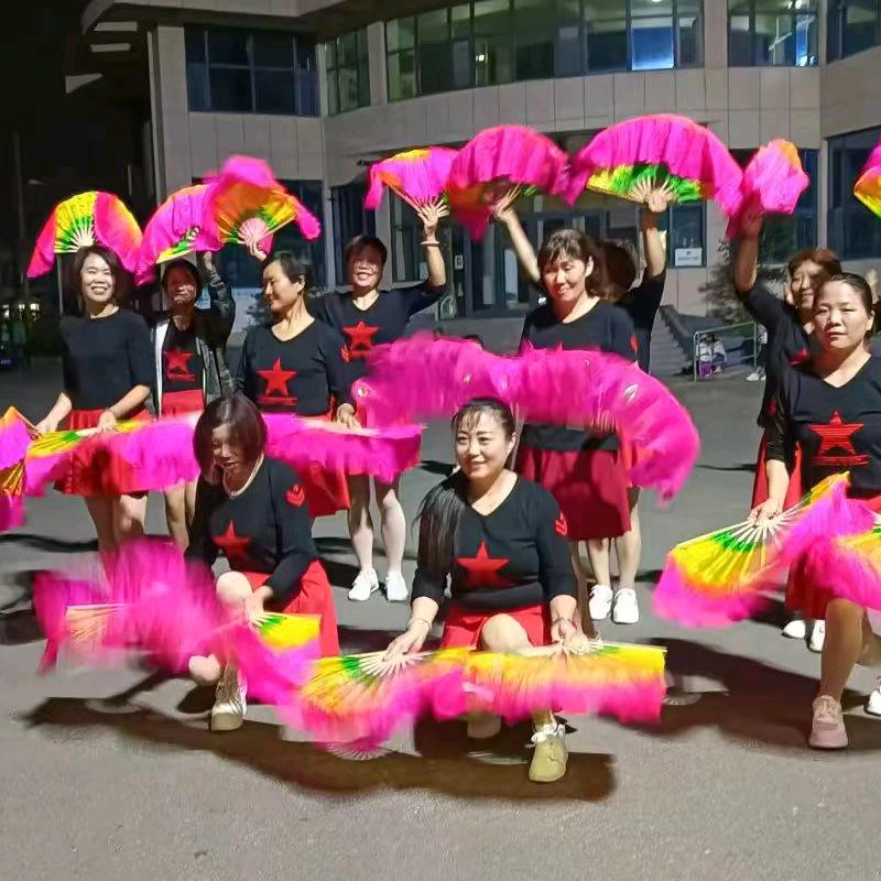 海棠广场舞